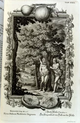 スイスの学者による「Physica Sacra」の銅版画。 ヨハン・ヤコブ・ショイツァー