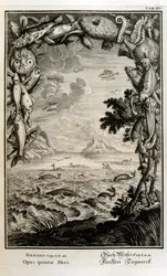 スイスの学者による「Physica Sacra」の銅版画。 ヨハン・ヤコブ・ショイツァー