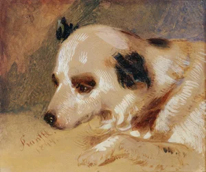 犬の頭