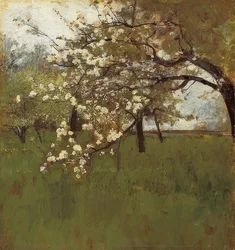 開花のリンゴの木