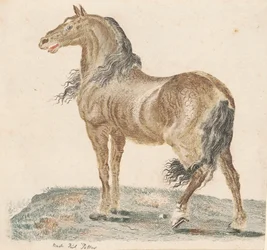 1690年代の「嘶く馬」。