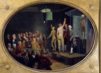 スコットランドの解剖学者ウィリアム・ハンター（1718-1783）によるロイヤル・アカデミーでの講義。ヨハン・ゾファニー（1733-1810）の絵画 Ec.Ang.