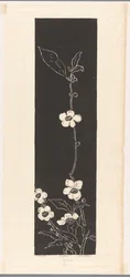 Tea Blossom (オブジェクトの元のタイトル)