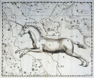Monoceros, yksisarvisen tähdistö, kaiverrus Firmamentum Sobiescianum sive Uronographiasta taivaallisesta atlasista, Johann Hevelius (1611-1687), Gdansk