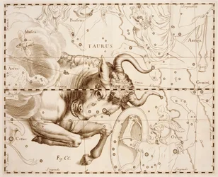 牡牛座（Johann Hevelius（1611-1687）著『Firmamentum Sobiescianum sive Uranographia』（グダニスクで印刷された完全な星のカタログ）からの版画