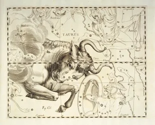おうし座、おうし座の星座、天体アトラス Firmamentum Sobiescianum sive Uronographia からの彫刻、Johann Hevelius (1611-1687)、グダンスク作