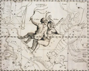ふたご座（Johann Hevelius（1611-1687）著『Firmamentum Sobiescianum sive Uranographia』の図版、Gdansk 1690年