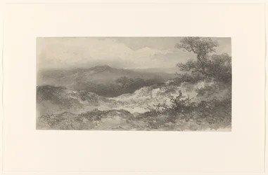 砂丘の風景
