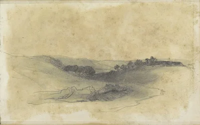 木々が生い茂る丘陵の風景