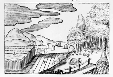 地球の果実、1658