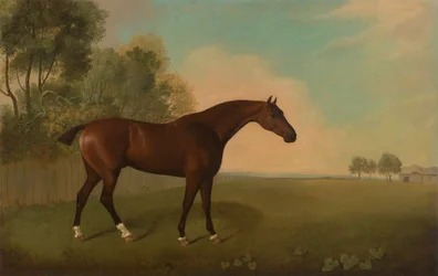 A Bay Horse in a Field   1433019   ja       japanese Successfully Translated  Original: The derision of Christ Face of the suffering Christ has thorns. Painting by Daniele Crespi (1598-1630) 17th century Basilica San Giovanni, Busto Arsizio Italy Translat: