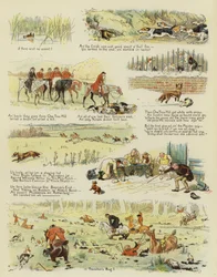 フォックスオーワンツリーヒル