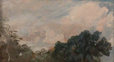 Estudo de nuvens com árvores
