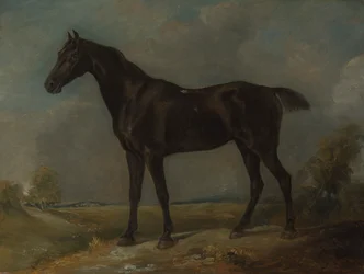 ゴールディング・コンスタブルの黒馬