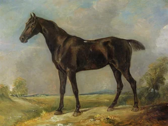 ゴールディング・コンスタブルの黒い乗馬馬、1805-10年頃