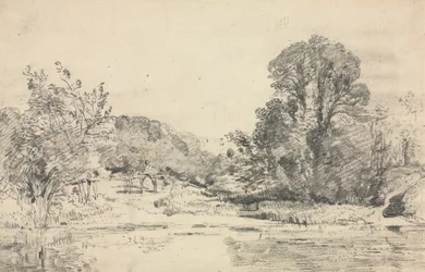 池を囲む木々のある風景。