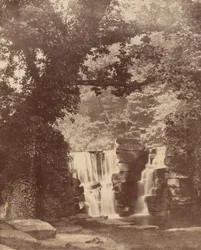ペンラーゲア・バレーの森、アッパー・フォールズ。1852年（写真）