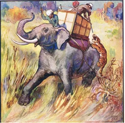 ライフルの銃口をトラの頭に付けました（カラーリソ）