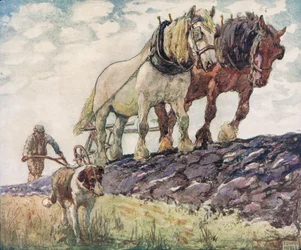 1919年に出版されたGladys Davidsonによる「Helpers Without Hands」のイラスト（カラーリソ）