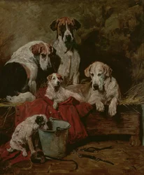 犬小屋の仲間