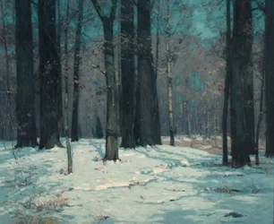 冬の森、カリフォルニア州。 1912年。