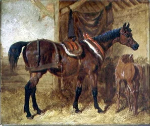厩舎の中の老牝と子馬