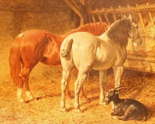 馬小屋の中の馬とヤギ