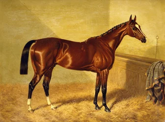 ルーズボックスの競馬場オーランド、1845