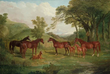 ストリートラムスタッド、雌馬と子馬、1836