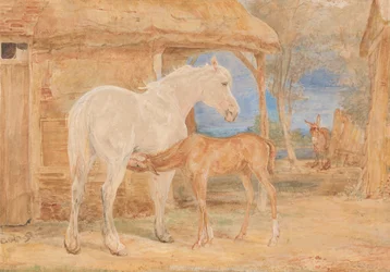 灰色の牝馬と栗毛の仔馬