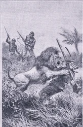 The end of Livingstone, Newnes Pictorial Knowledge, c.1950