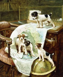 よく旅されるジャックラッセルの子犬
