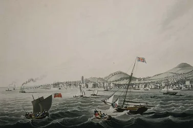 The Town of Dundee」（Smith & Elder社刊