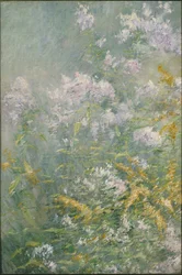 草原の花（ゴールデンロッドとワイルドアスター）