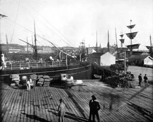 オークランド港、ニュージーランド、1893年。