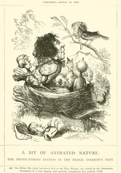 生気に満ちた自然、生垣雀の巣の保護者カッコウ