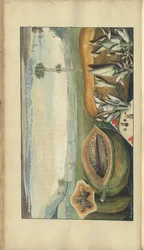 「ジャマイカの遺産」からのページ、53