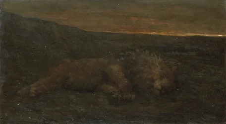夜の眠れる獅子