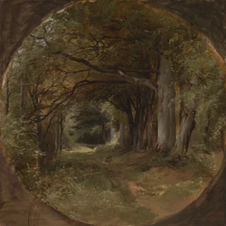 Paisagem