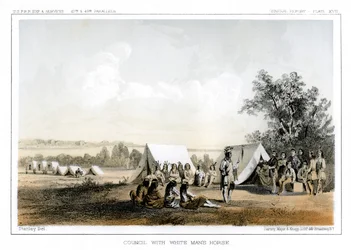 白人の馬との評議会、1856年