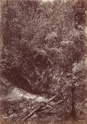 ダリエン探検隊、1871年（写真）