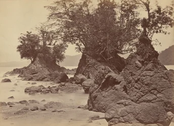 島々、リモン湾、1871年（写真）