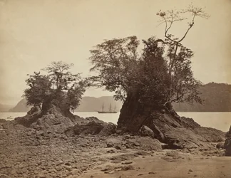 リモン湾の島々、1871 年。