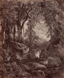 1865年、孤独（写真）