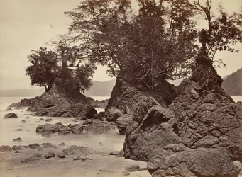 熱帯の風景、リモン湾 - 干潮、1871 年。