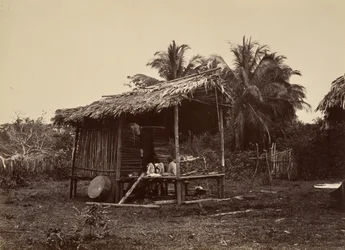 熱帯の風景、ネイティブ ハット、ターボ、1871 年。