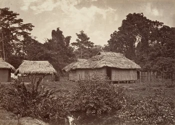 熱帯の風景、ターボ ビレッジ、1871 年。