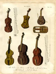 クラシック音楽の弦楽器