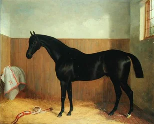 トミー《馬の肖像》1870年代頃（油彩・キャンバス