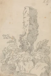 垂直の岩と木